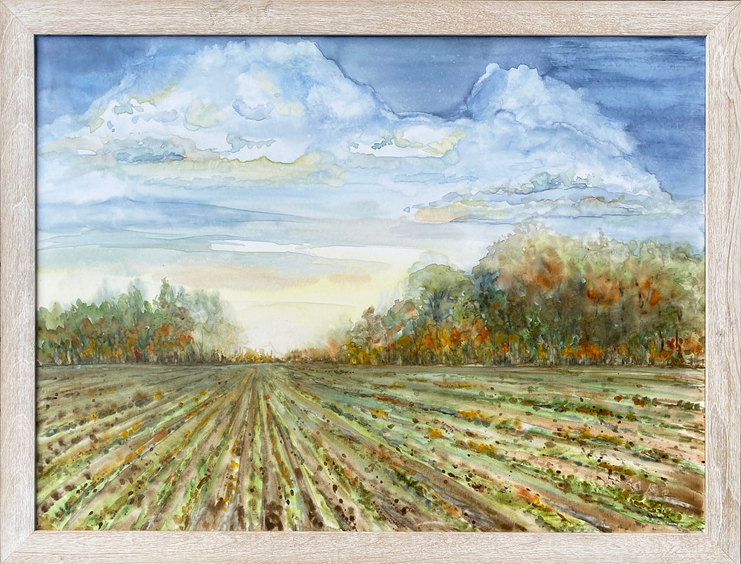 Autumn Field Original Watercolor