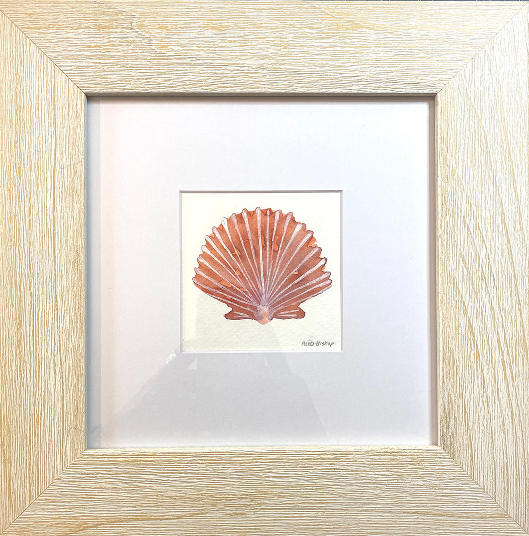 Orange Red Shell Original Watercolor