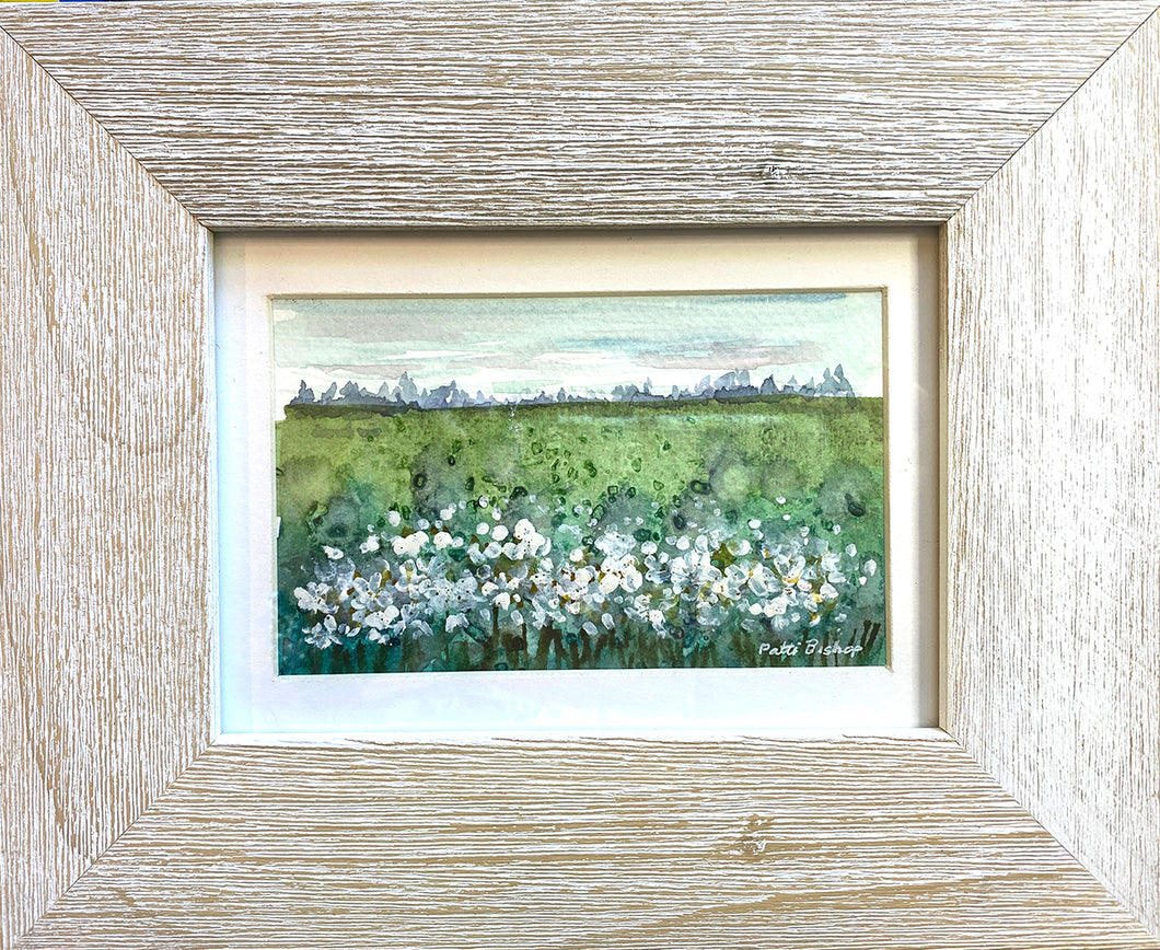 White Flower Field Original Watercolor